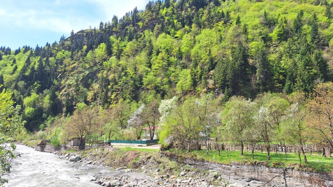 Гостевой дом SVANETI Lentekhi Экстерьер фото