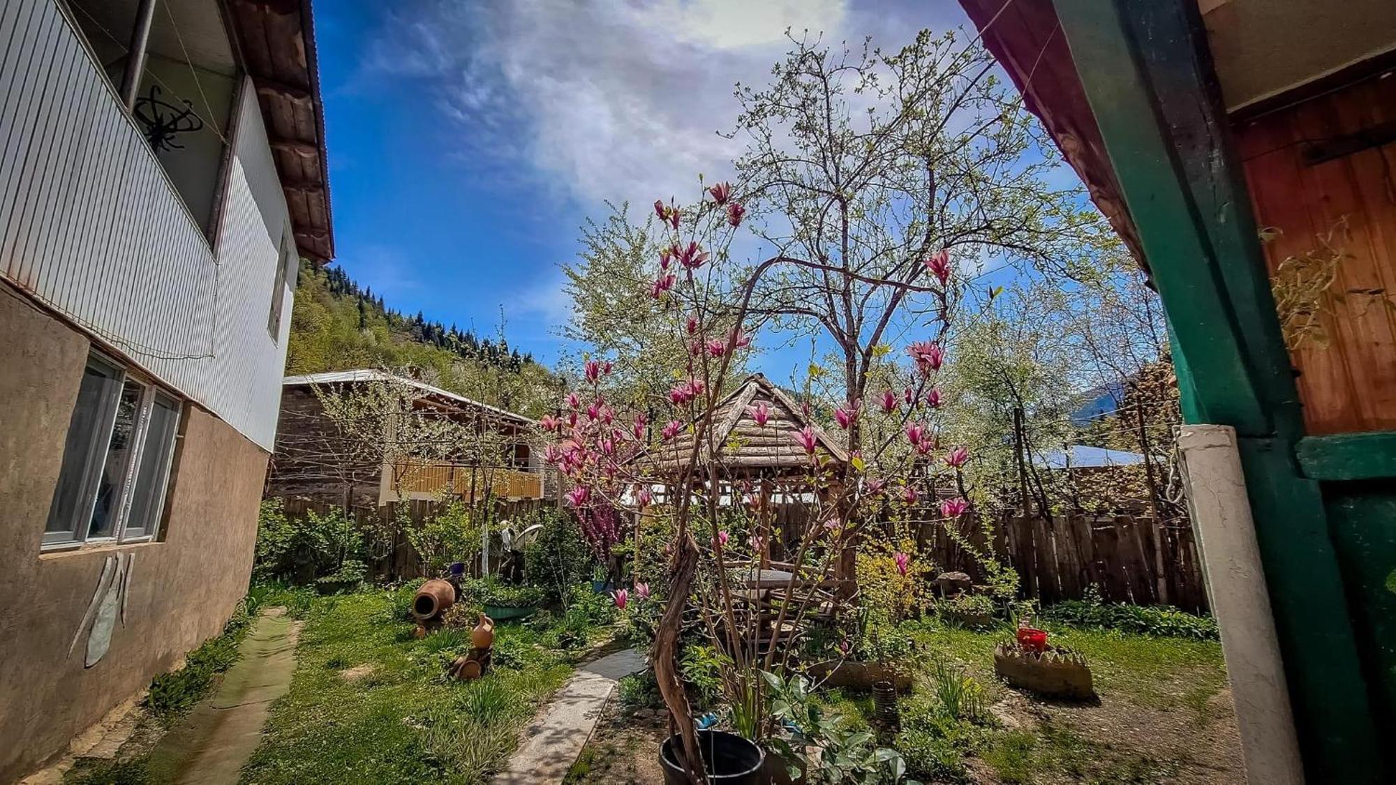 Гостевой дом SVANETI Lentekhi Экстерьер фото